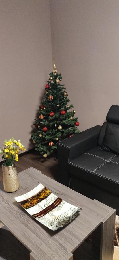 Home Apartament Braşov Eksteriør billede