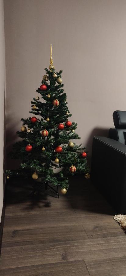 Home Apartament Braşov Eksteriør billede